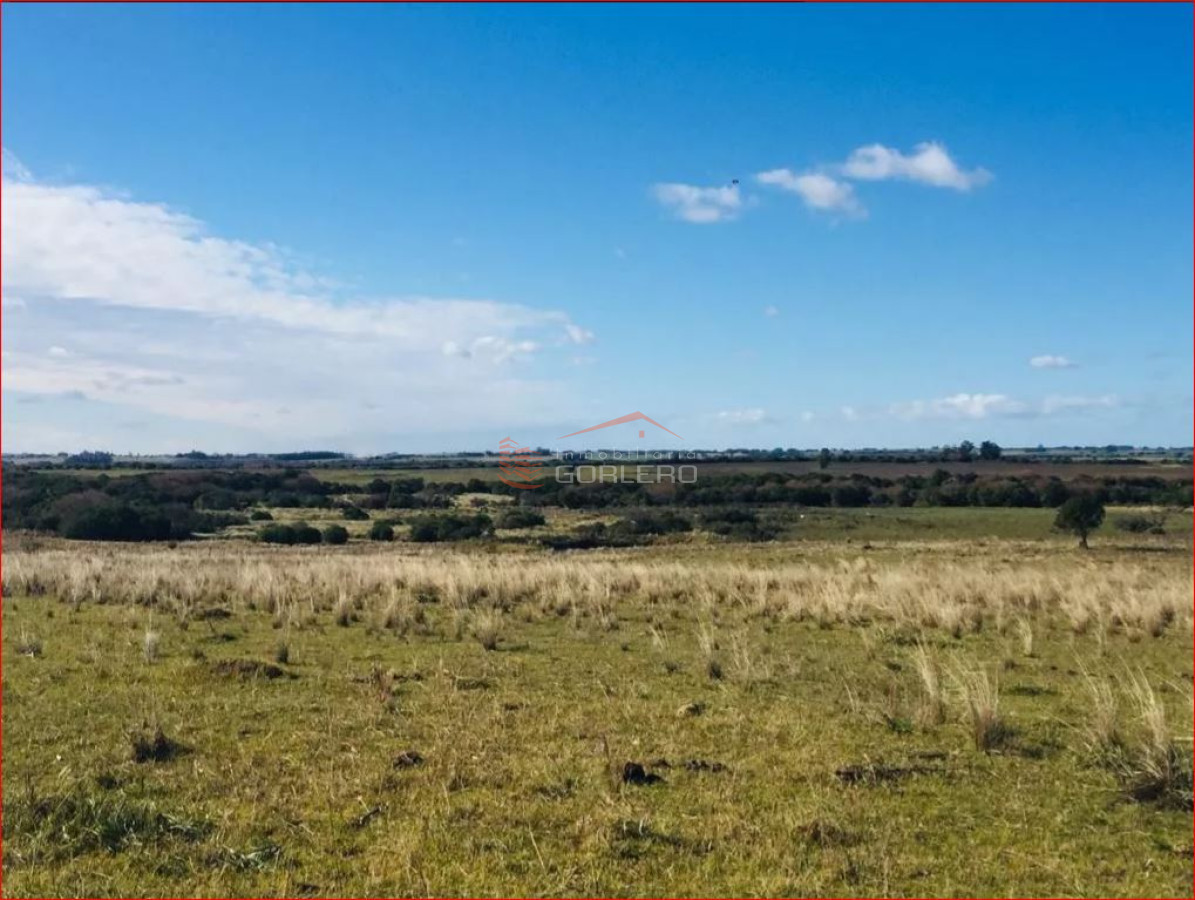 Zona Rural - GoPunta - Portal Inmobiliario de Punta del Este - Maldonado