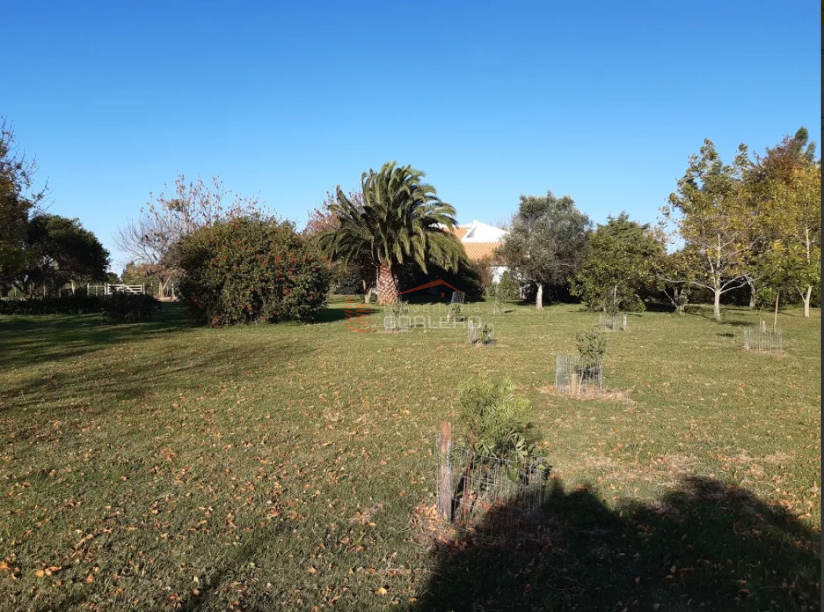 Zona Rural - GoPunta - Portal Inmobiliario de Punta del Este - Maldonado