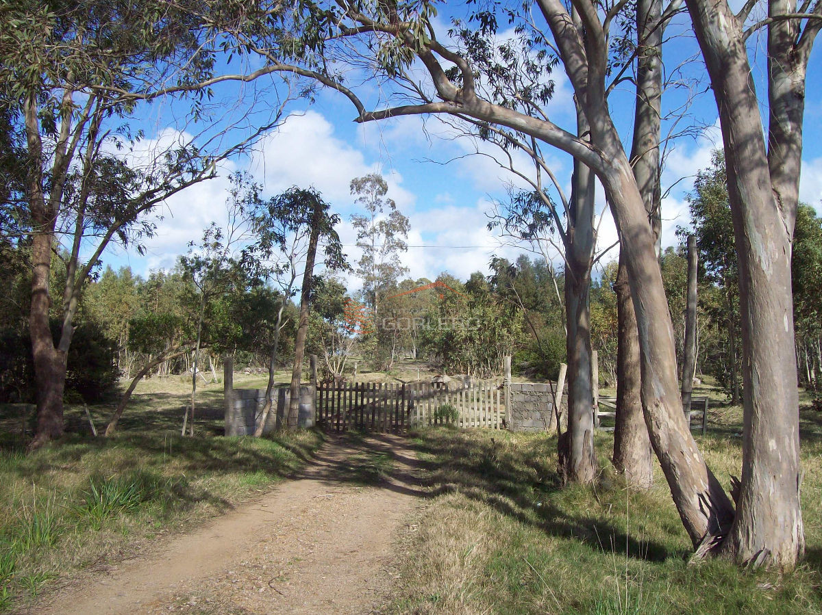 Campo en Uruguay, Rocha, La Paloma