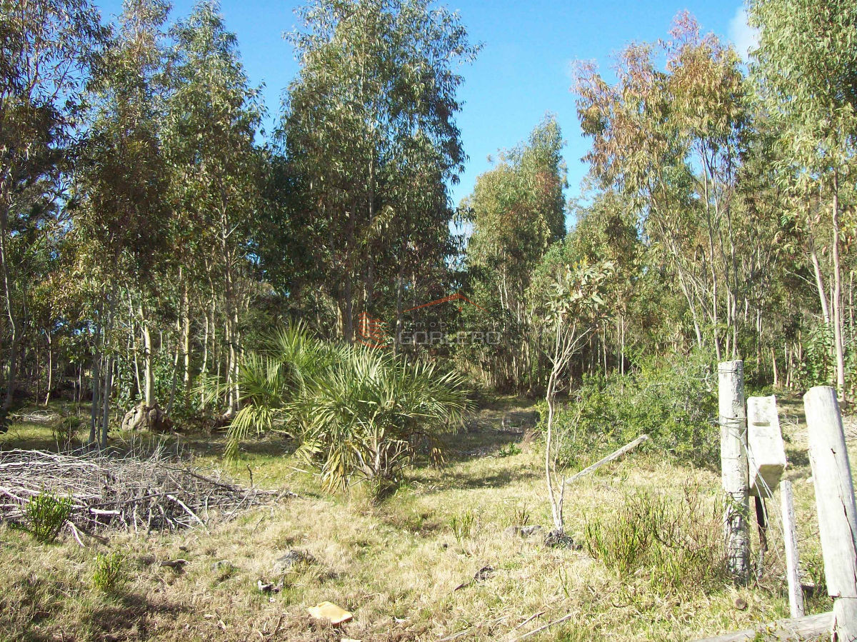 La Paloma - GoPunta - Portal Inmobiliario de Punta del Este - Maldonado