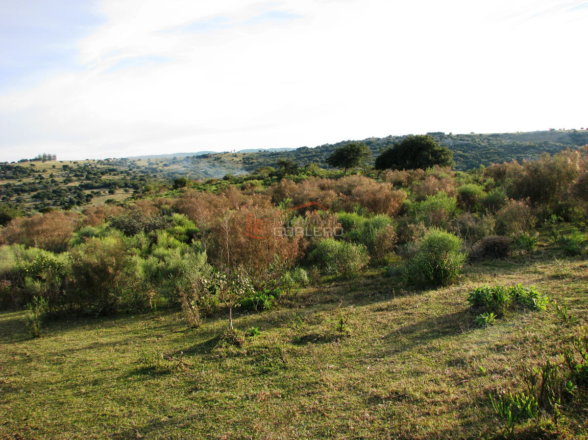 Zona Rural - GoPunta - Portal Inmobiliario de Punta del Este - Maldonado