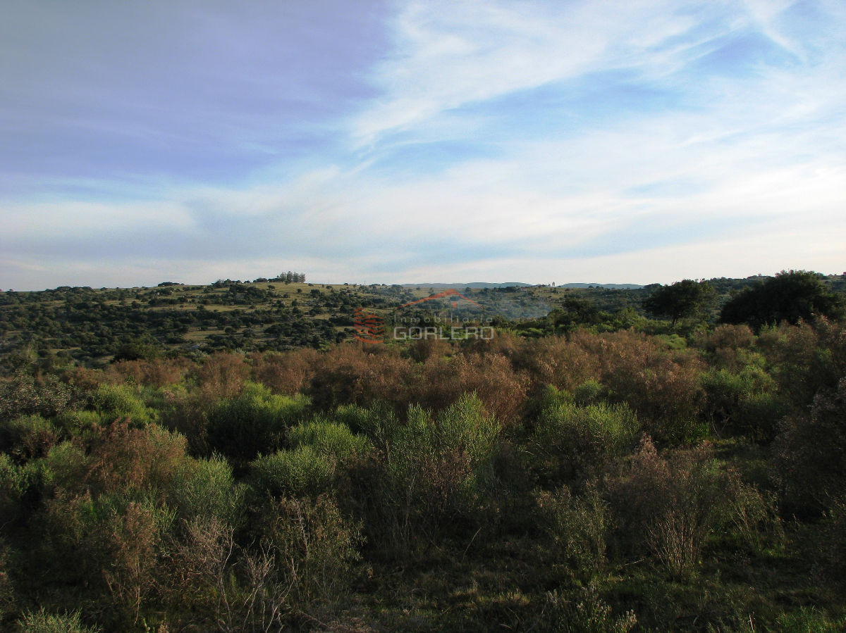 Zona Rural - GoPunta - Portal Inmobiliario de Punta del Este - Maldonado