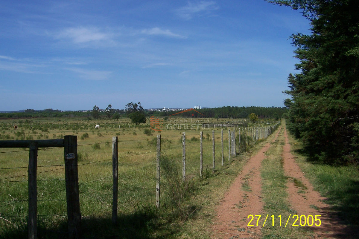 Zona Rural - GoPunta - Portal Inmobiliario de Punta del Este - Maldonado