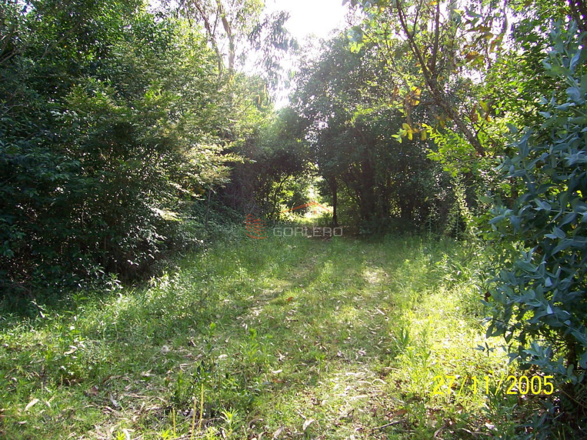 Zona Rural - GoPunta - Portal Inmobiliario de Punta del Este - Maldonado