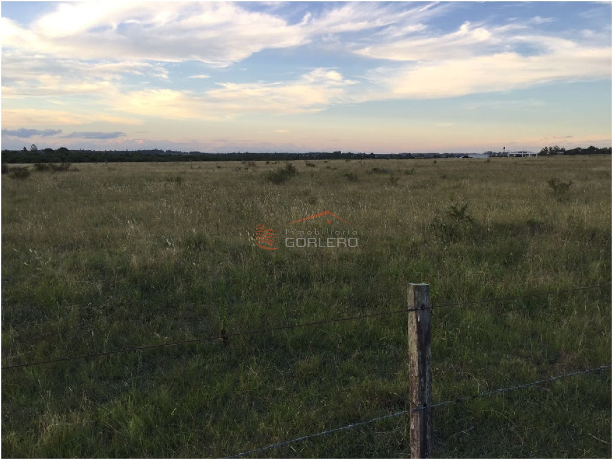 Paysandú - GoPunta - Portal Inmobiliario de Punta del Este - Maldonado