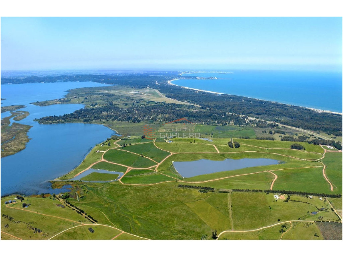 Laguna de los Cisnes