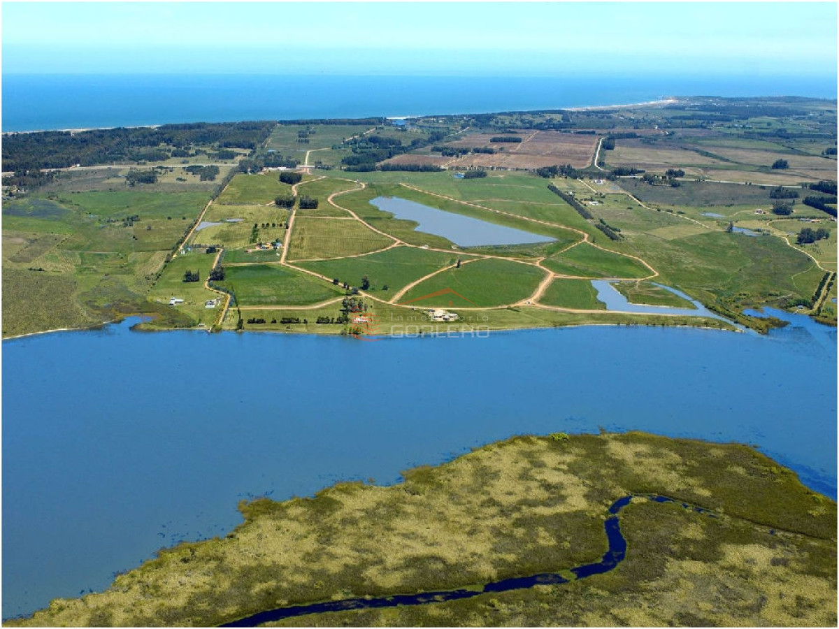 Laguna de los Cisnes - GoPunta - Portal Inmobiliario de Punta del Este - Maldonado
