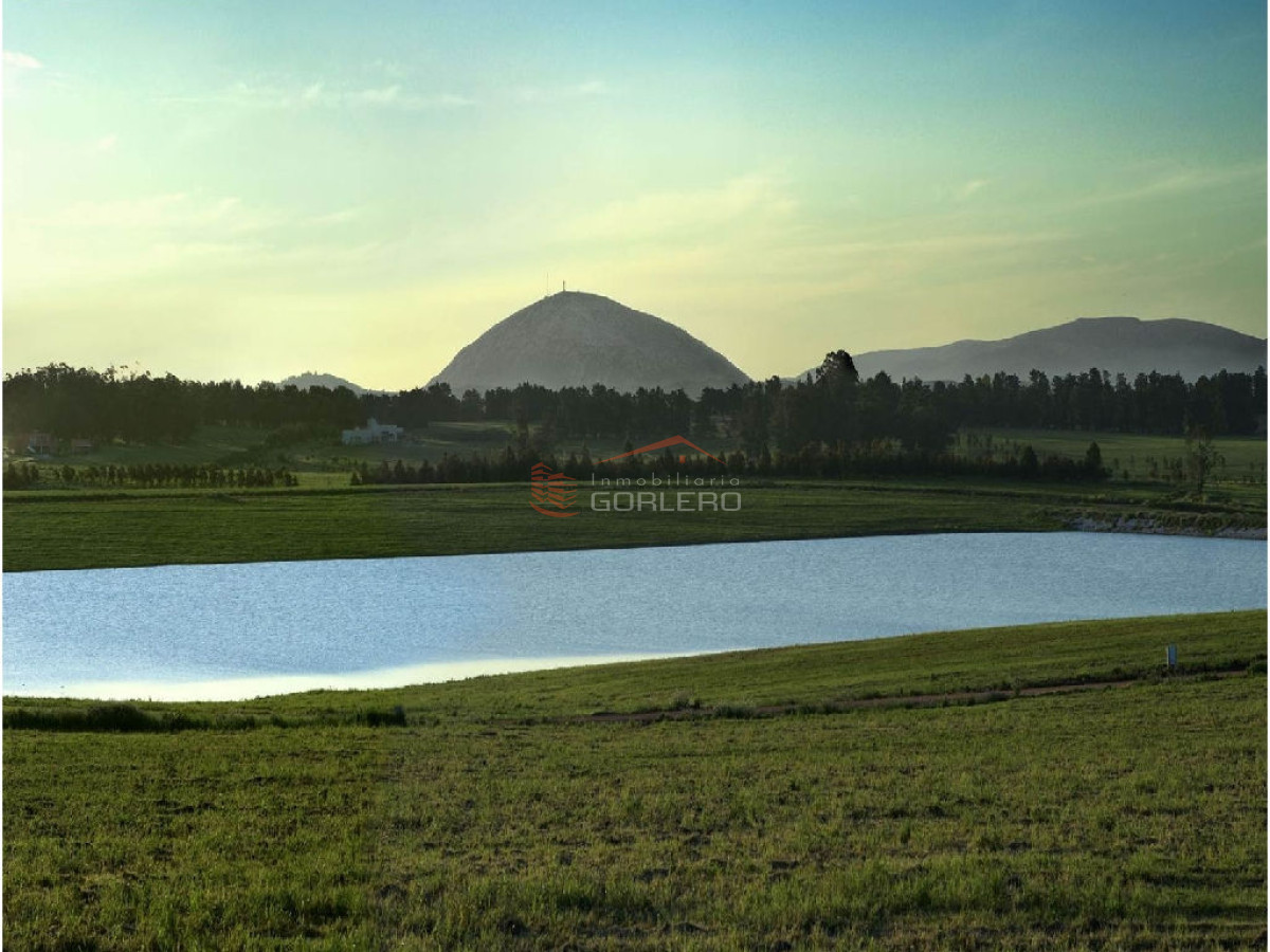 Laguna de los Cisnes - GoPunta - Portal Inmobiliario de Punta del Este - Maldonado