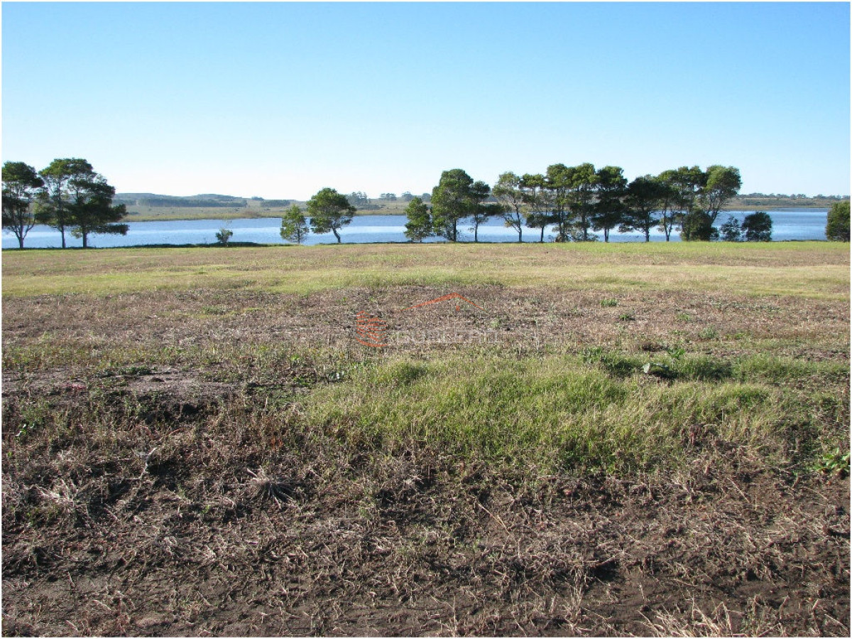 Laguna de los Cisnes - GoPunta - Portal Inmobiliario de Punta del Este - Maldonado