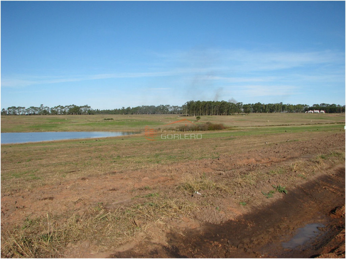 Zona Rural - GoPunta - Portal Inmobiliario de Punta del Este - Maldonado