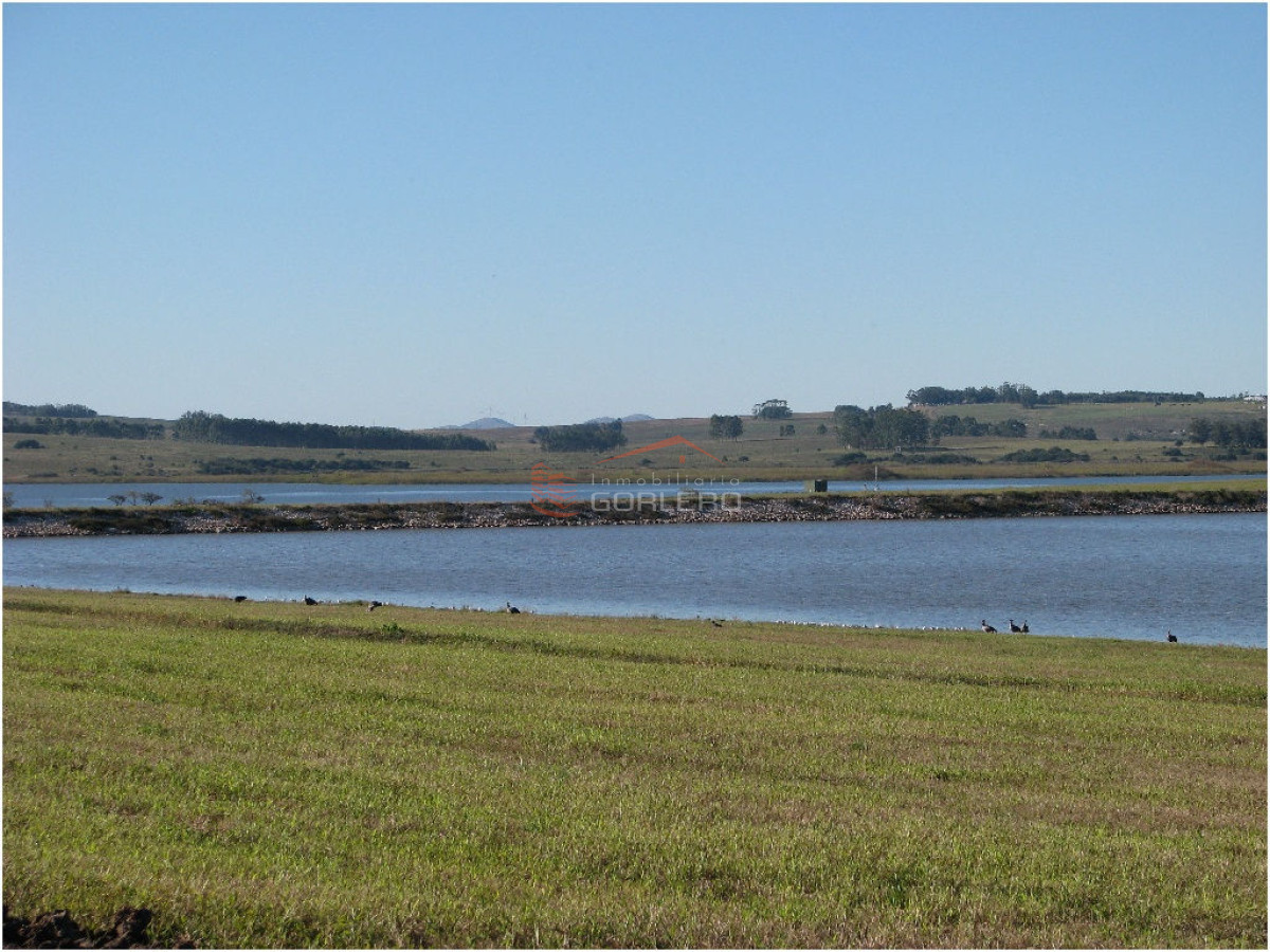 Zona Rural - GoPunta - Portal Inmobiliario de Punta del Este - Maldonado