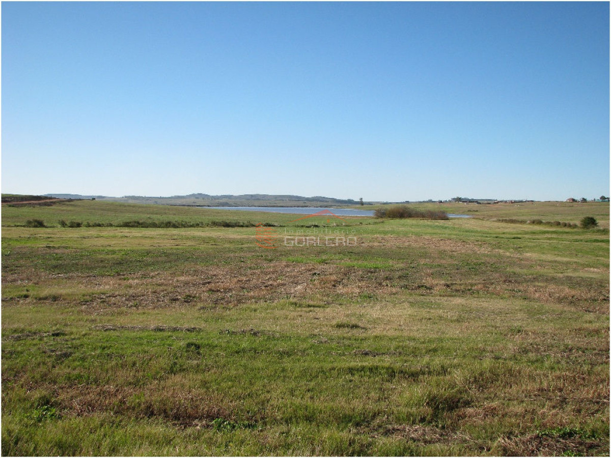 Zona Rural - GoPunta - Portal Inmobiliario de Punta del Este - Maldonado