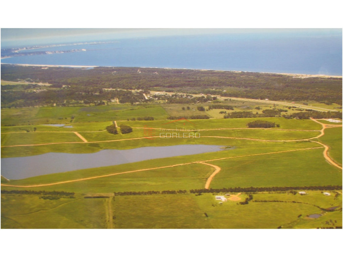 Laguna de los Cisnes - GoPunta - Portal Inmobiliario de Punta del Este - Maldonado