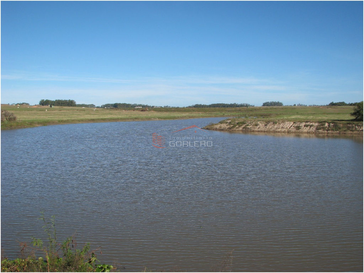Laguna de los Cisnes - GoPunta - Portal Inmobiliario de Punta del Este - Maldonado