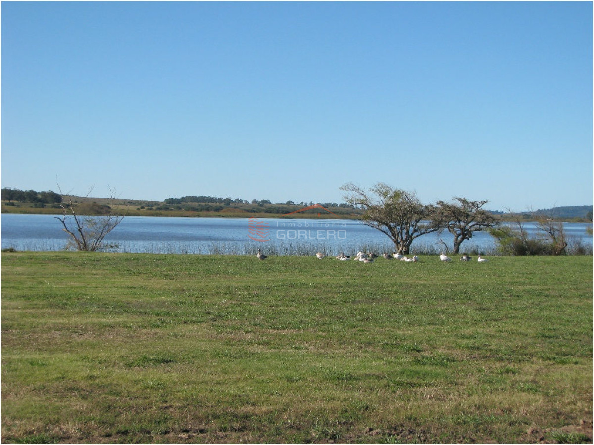 Laguna de los Cisnes - GoPunta - Portal Inmobiliario de Punta del Este - Maldonado