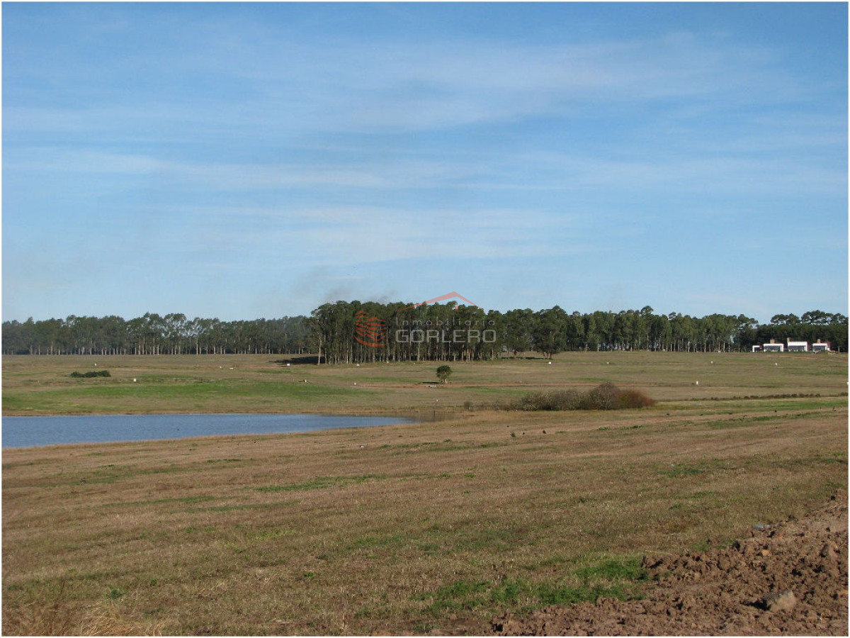Laguna de los Cisnes - GoPunta - Portal Inmobiliario de Punta del Este - Maldonado