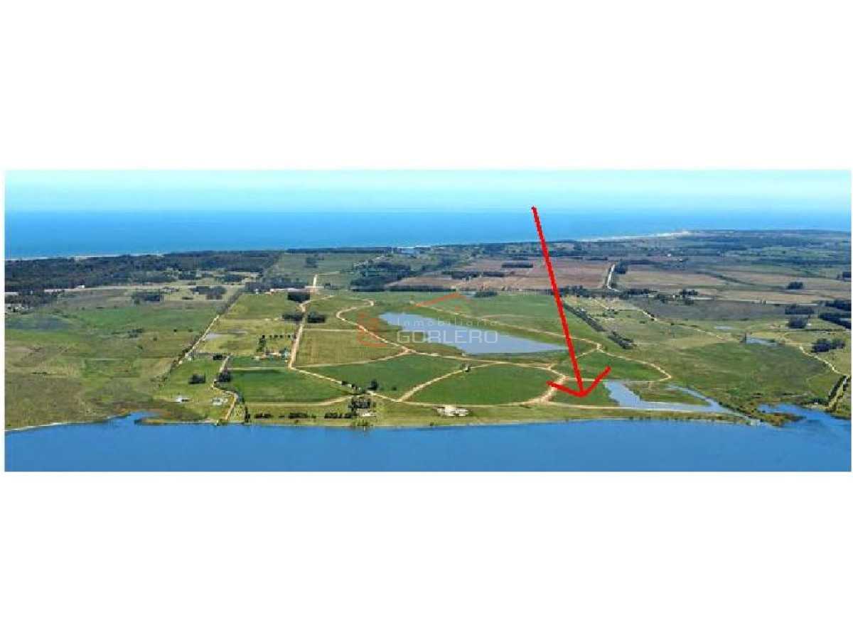 Laguna de los Cisnes - GoPunta - Portal Inmobiliario de Punta del Este - Maldonado