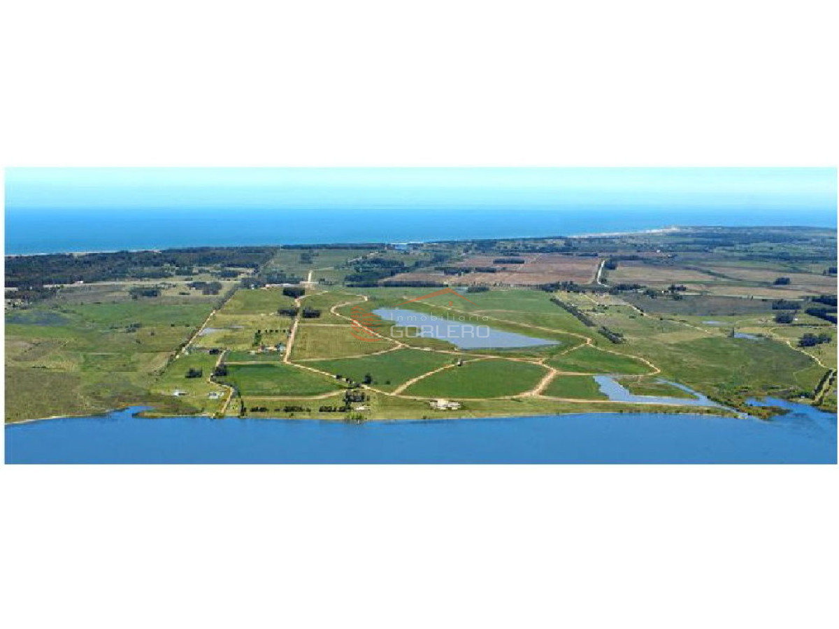 Laguna de los Cisnes - GoPunta - Portal Inmobiliario de Punta del Este - Maldonado