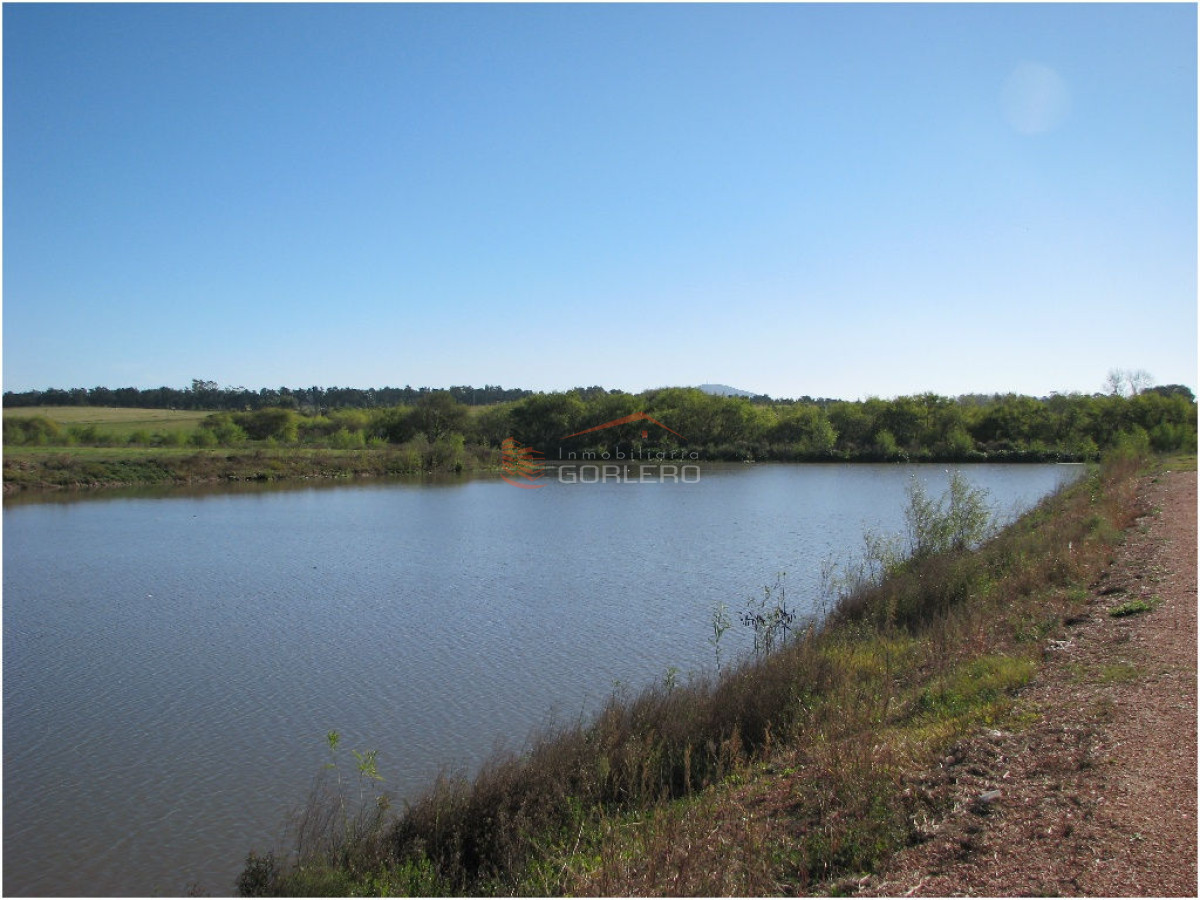 Laguna de los Cisnes - GoPunta - Portal Inmobiliario de Punta del Este - Maldonado