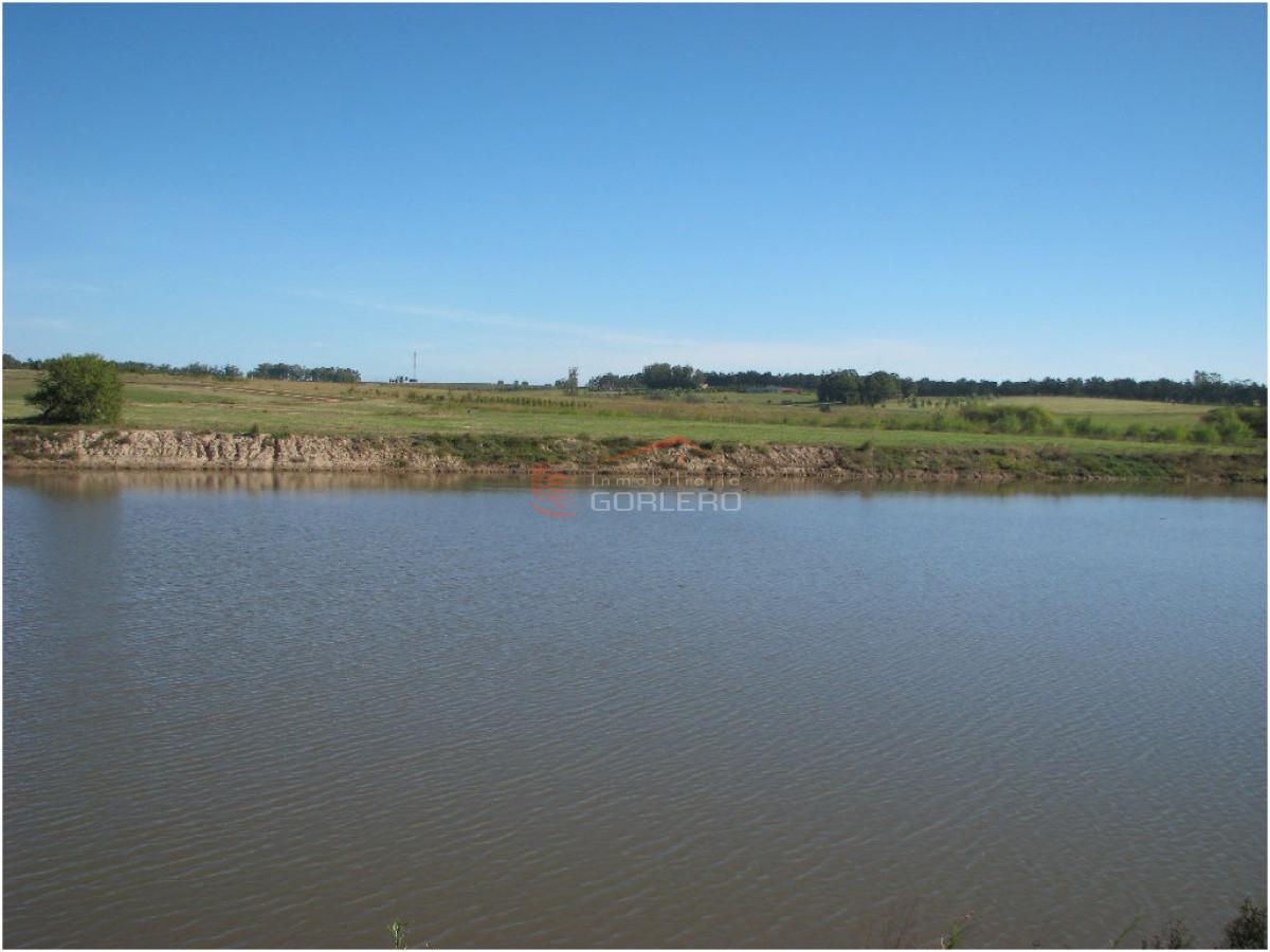 Laguna de los Cisnes - GoPunta - Portal Inmobiliario de Punta del Este - Maldonado