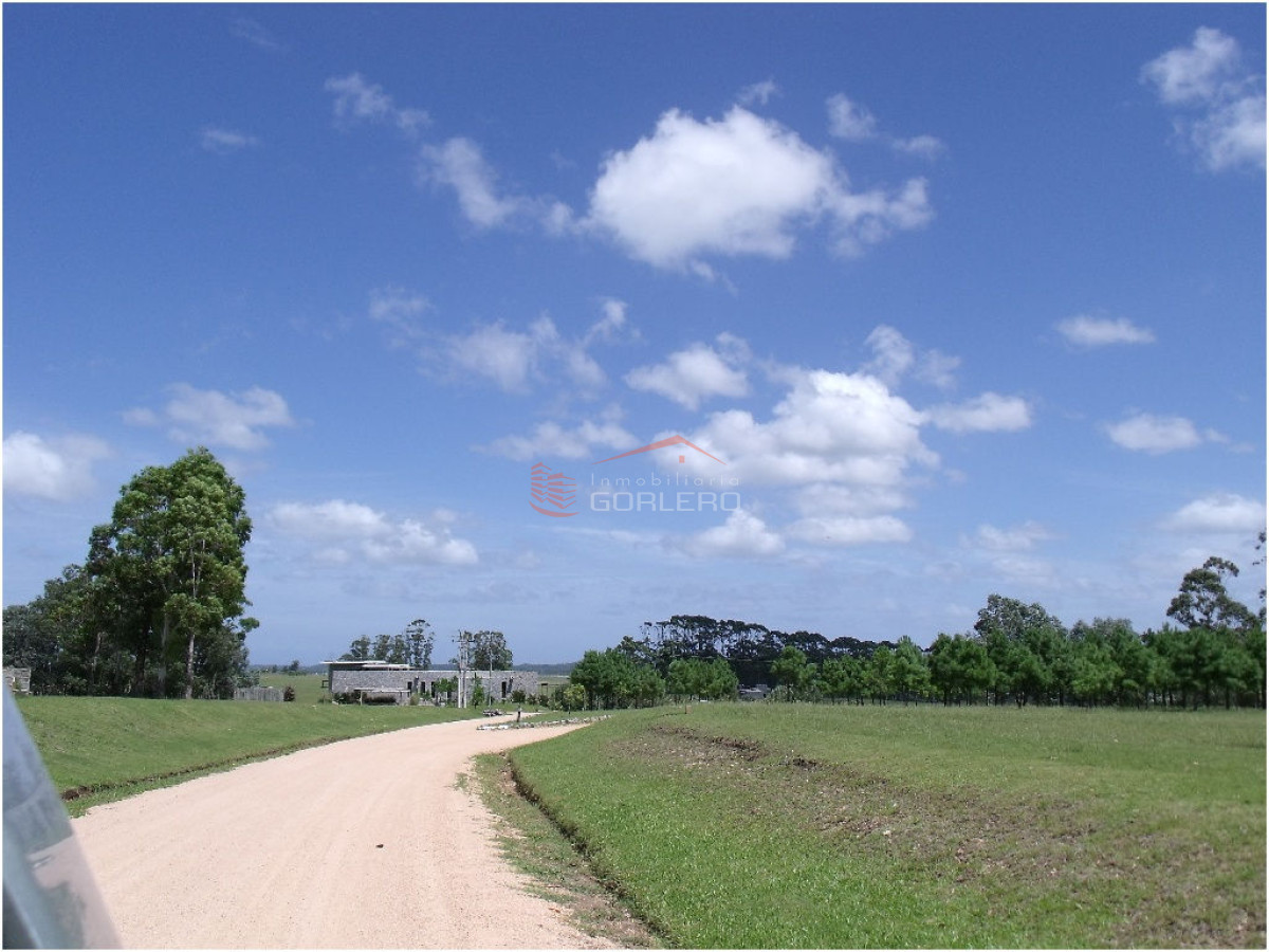 El Quijote - GoPunta - Portal Inmobiliario de Punta del Este - Maldonado