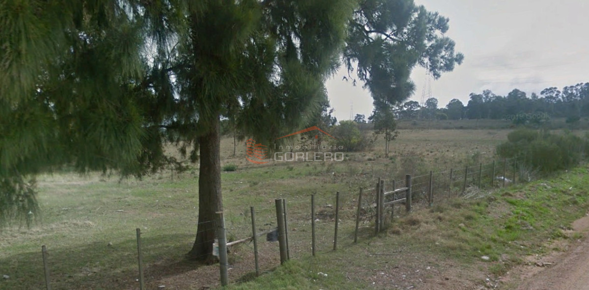 Excelente parcelas de 6 has y 12 para Fraccionar en lotes desde 300 m2  - GOR29863H