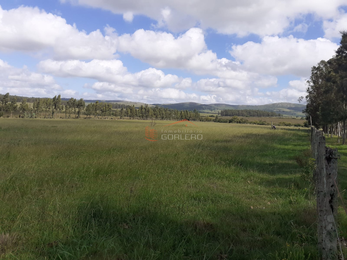 Zona Rural - GoPunta - Portal Inmobiliario de Punta del Este - Maldonado