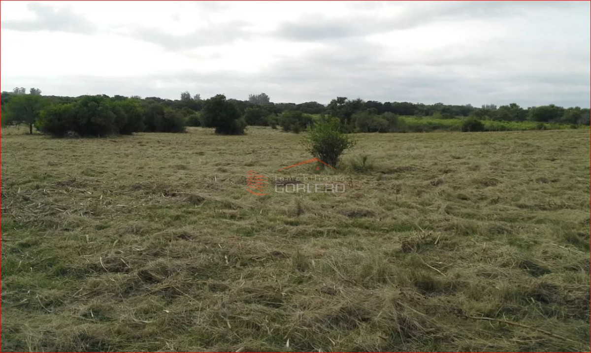 Zona Rural - GoPunta - Portal Inmobiliario de Punta del Este - Maldonado