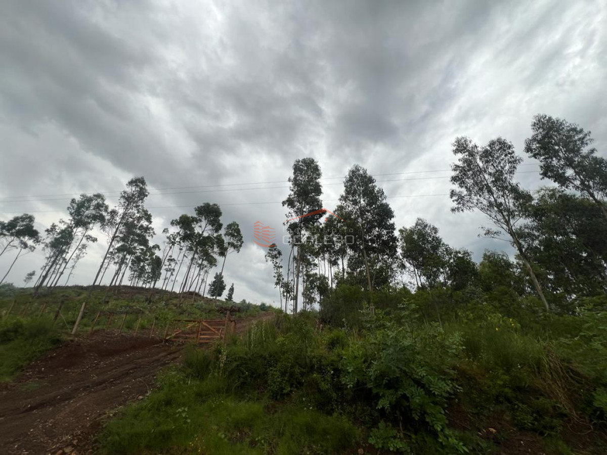 Venta de fracción suburbana en Lavalleja Minas Ruta 12
