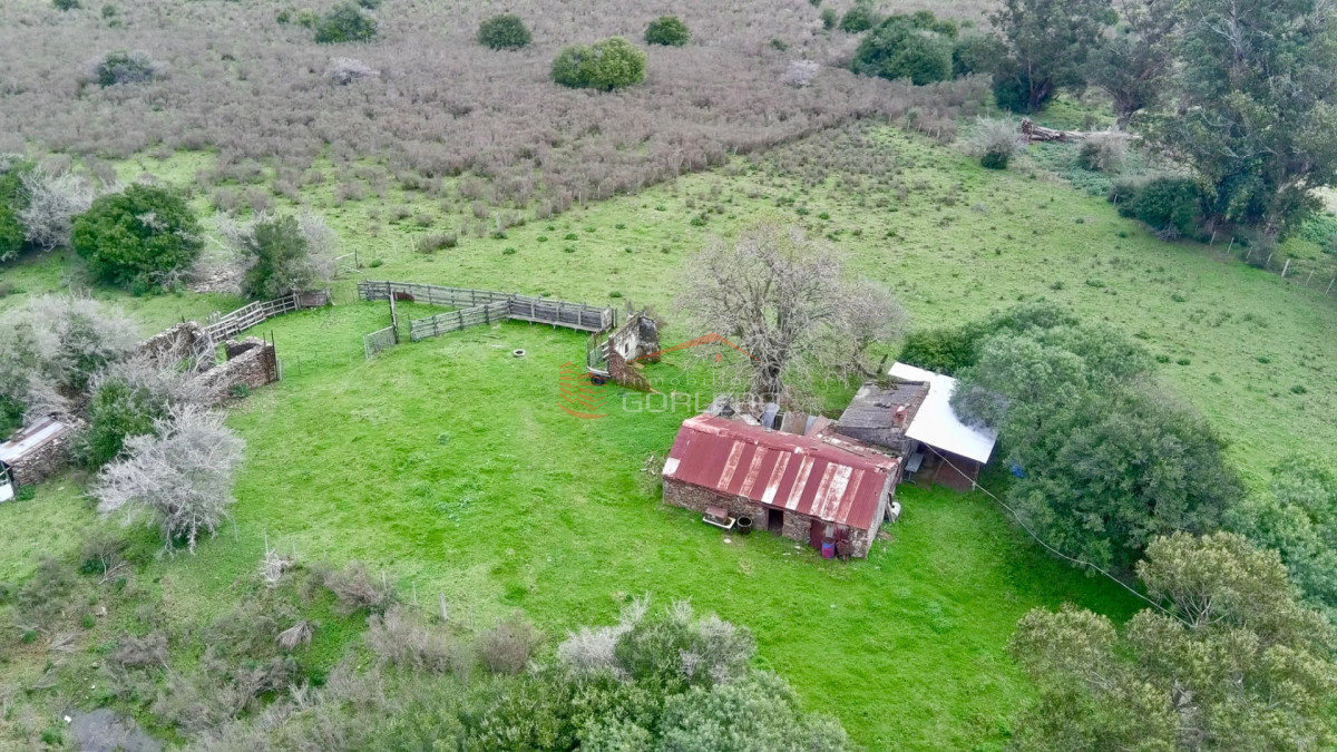 Lavalleja, 23 hás con cañada y tapera de piedra, zona del Penitente - GOR29458H