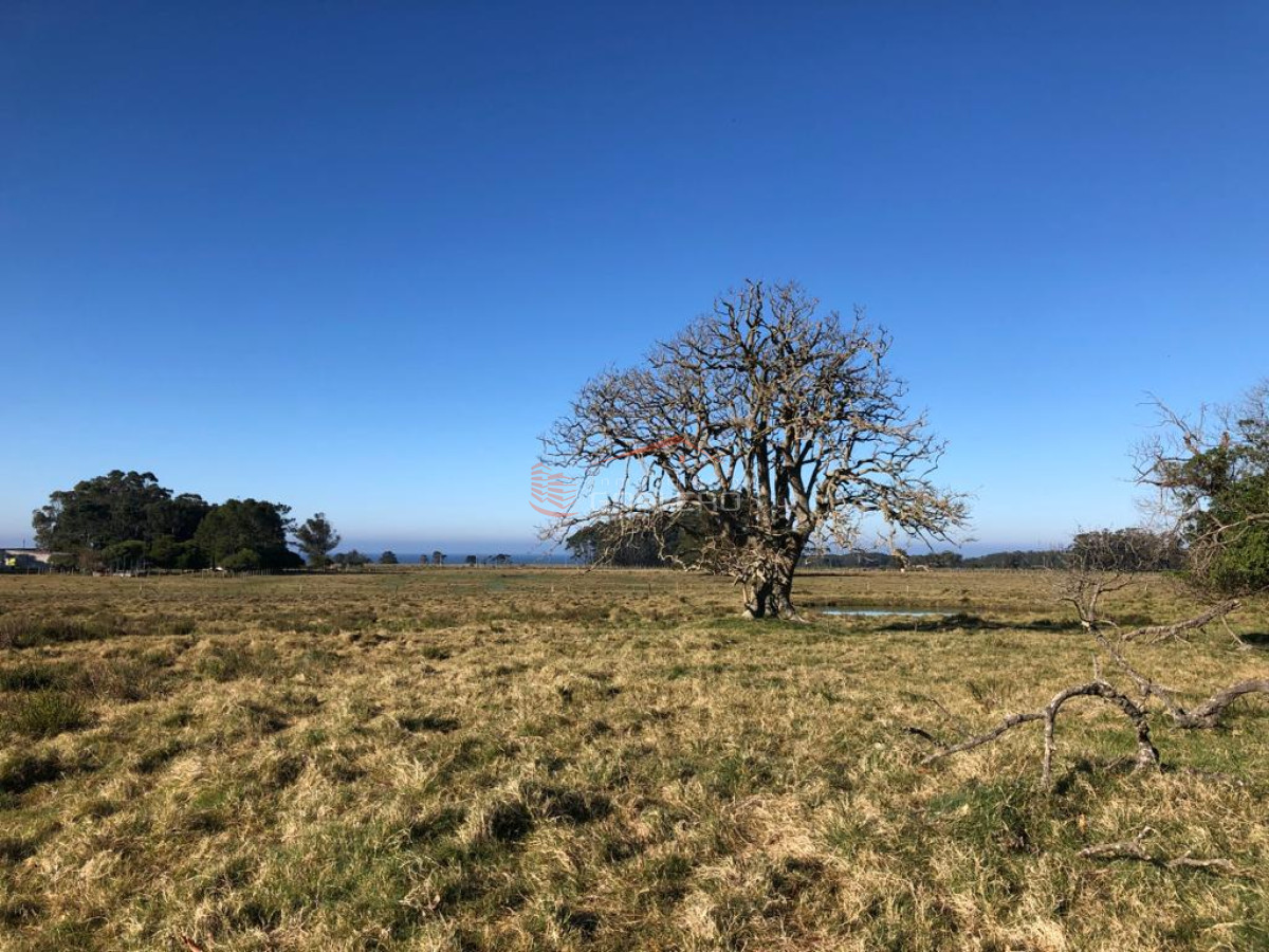 Rocha, Las Garzas, 5 has con muy linda vista. - GOR29454H