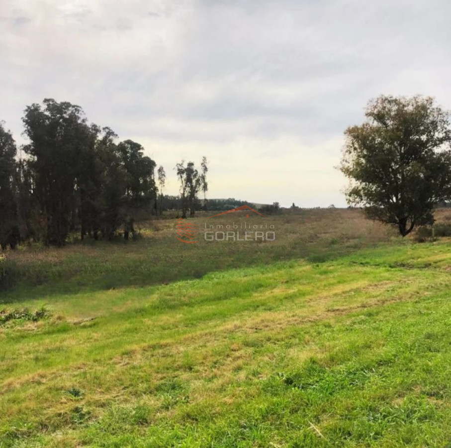 Venta de chacra en Ruta 9 a pocos km de la 12