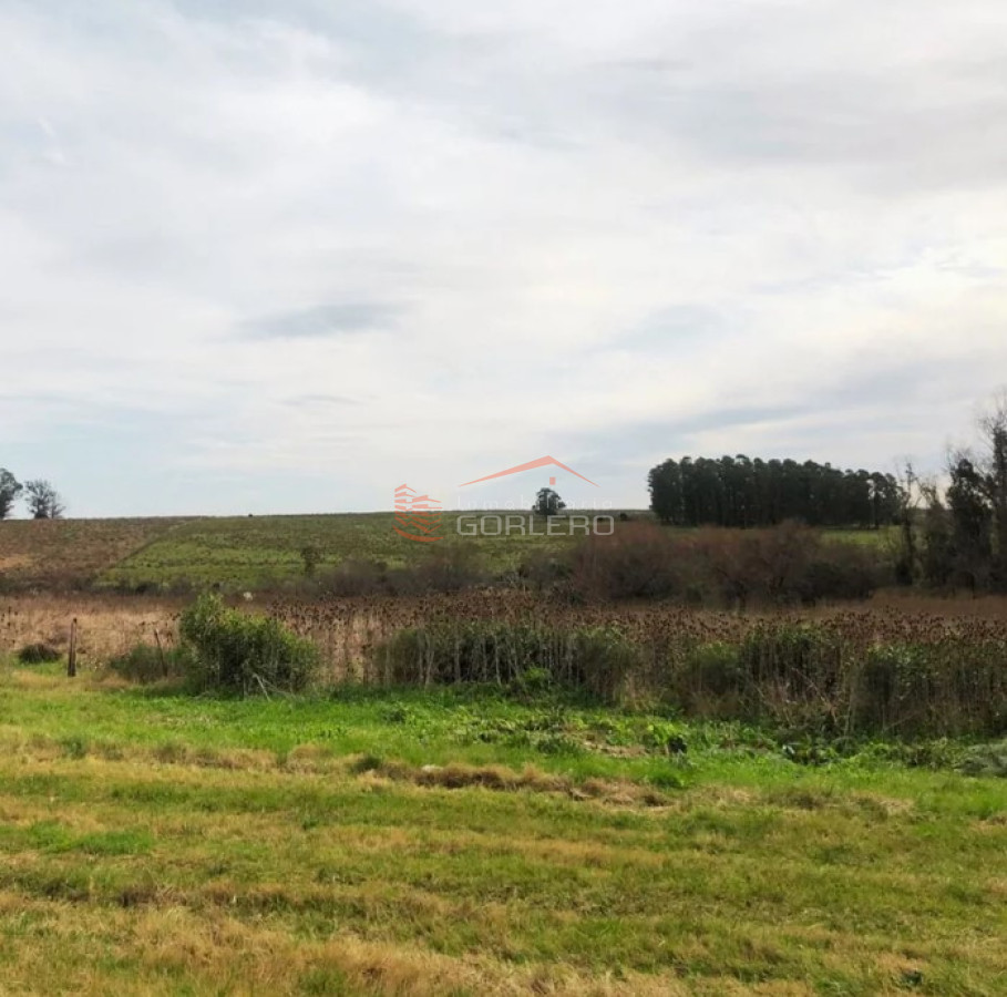 Zona Rural - GoPunta - Portal Inmobiliario de Punta del Este - Maldonado