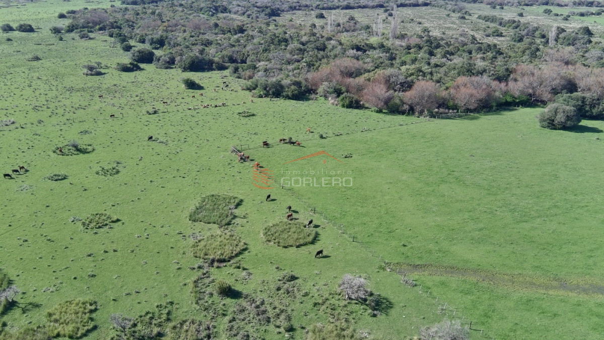 Maldonado - GoPunta - Portal Inmobiliario de Punta del Este - Maldonado