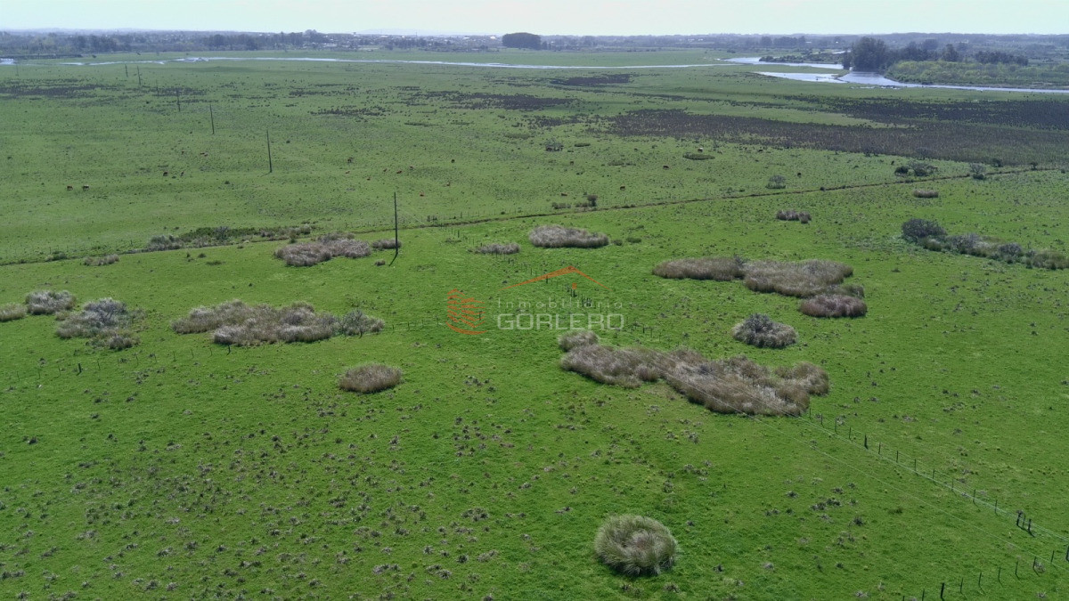 Ruta 39 - GoPunta - Portal Inmobiliario de Punta del Este - Maldonado