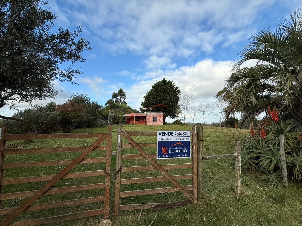 Zona Rural - GoPunta - Portal Inmobiliario de Punta del Este - Maldonado
