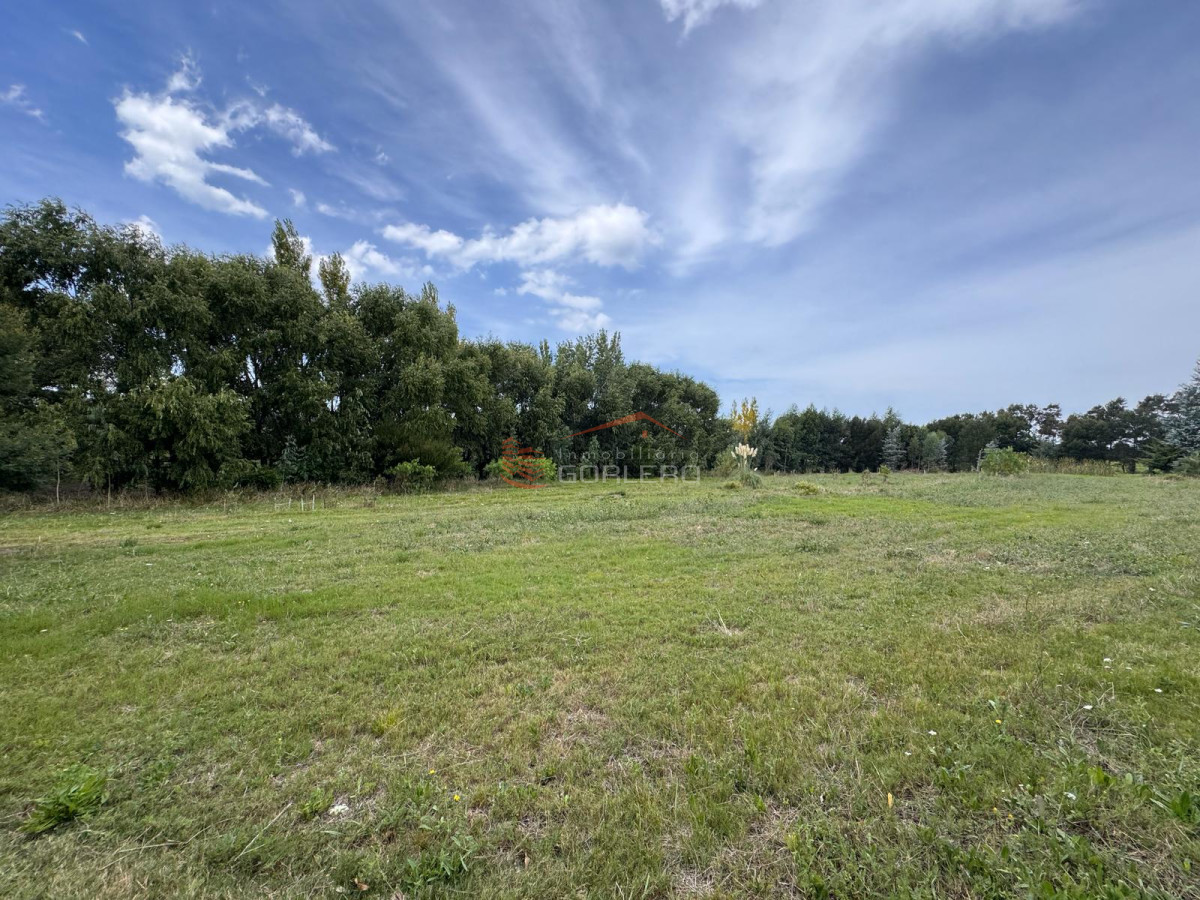 Laguna de los Cisnes - GoPunta - Portal Inmobiliario de Punta del Este - Maldonado
