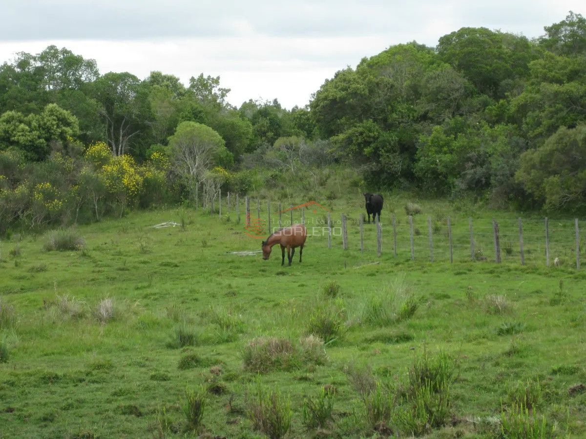 Zona Rural - GoPunta - Portal Inmobiliario de Punta del Este - Maldonado