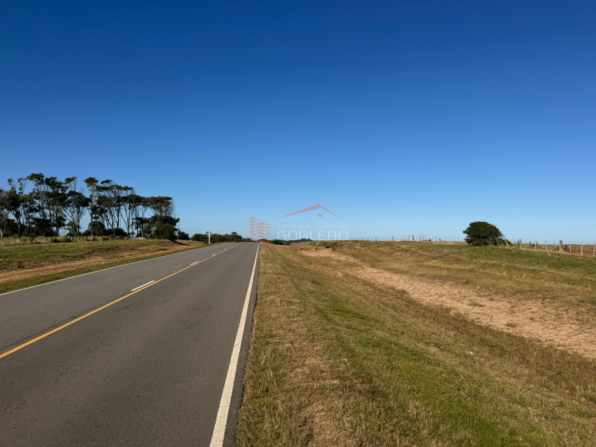 San Antonio - GoPunta - Portal Inmobiliario de Punta del Este - Maldonado