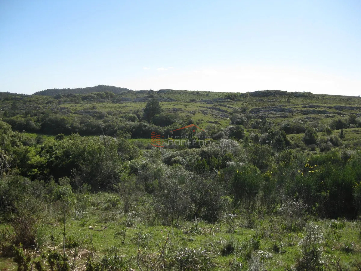 Zona Rural - GoPunta - Portal Inmobiliario de Punta del Este - Maldonado