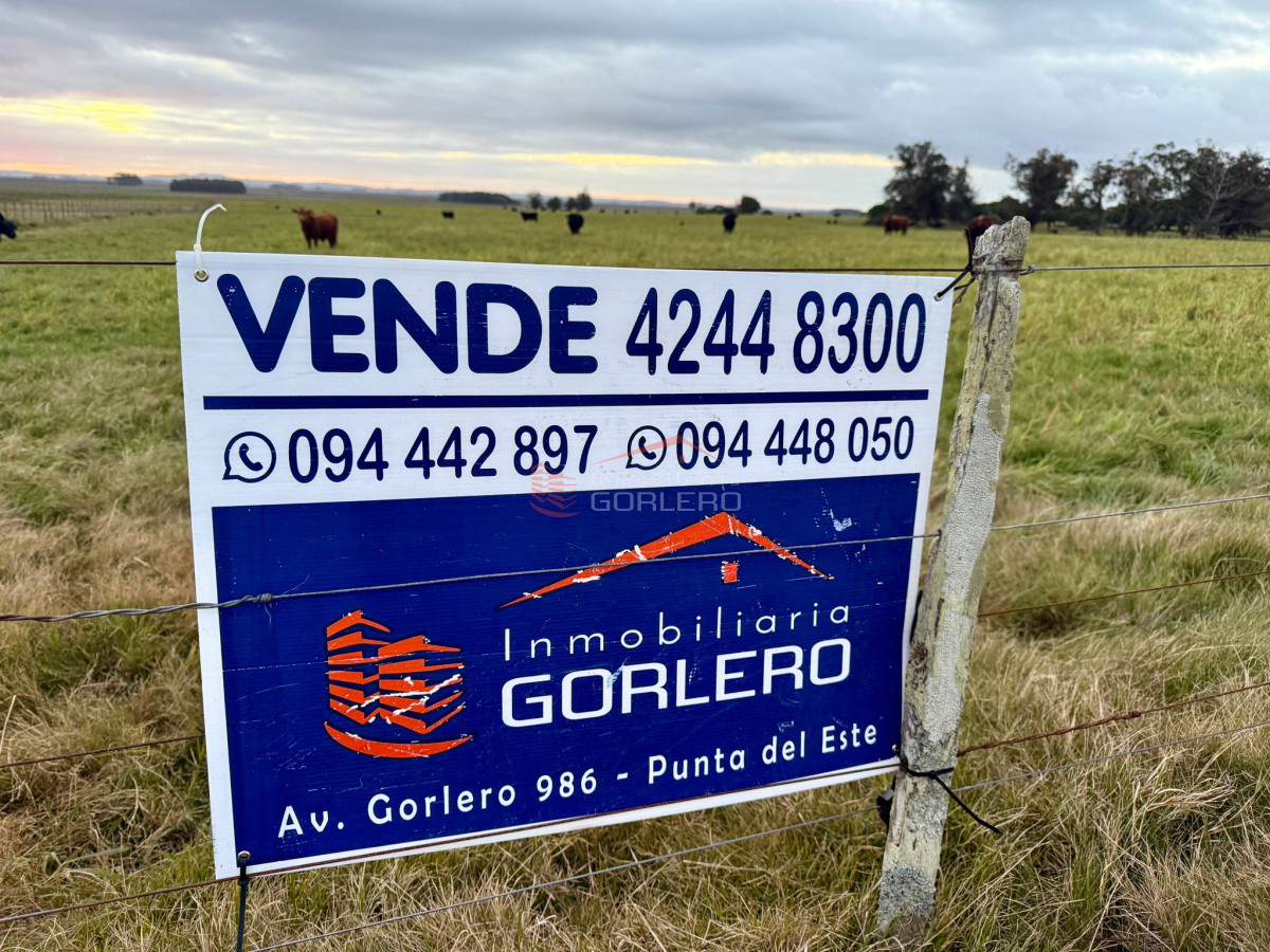 La Pedrera - GoPunta - Portal Inmobiliario de Punta del Este - Maldonado