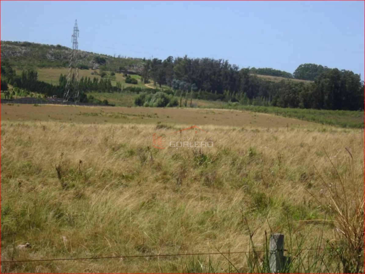 Camino Eguzquiza - GoPunta - Portal Inmobiliario de Punta del Este - Maldonado