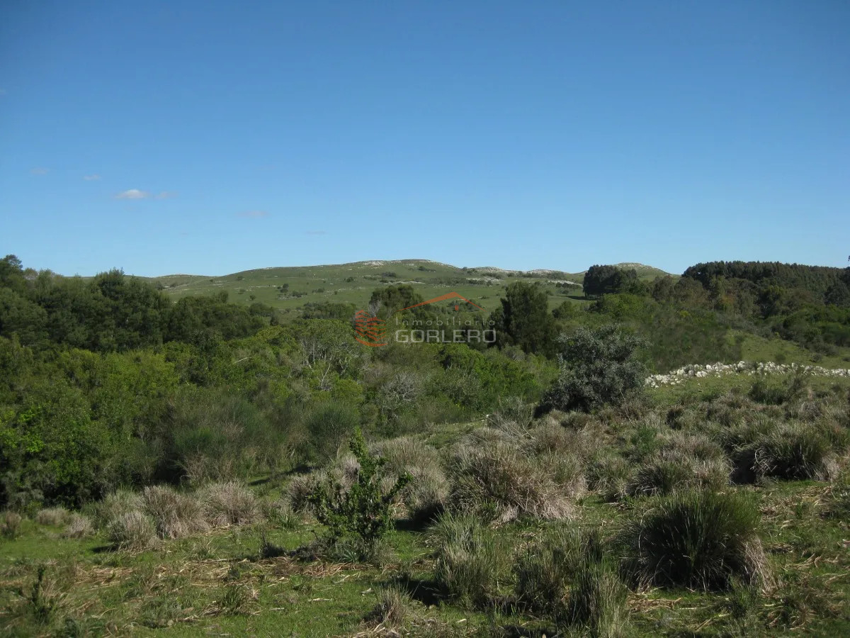 Zona Rural - GoPunta - Portal Inmobiliario de Punta del Este - Maldonado