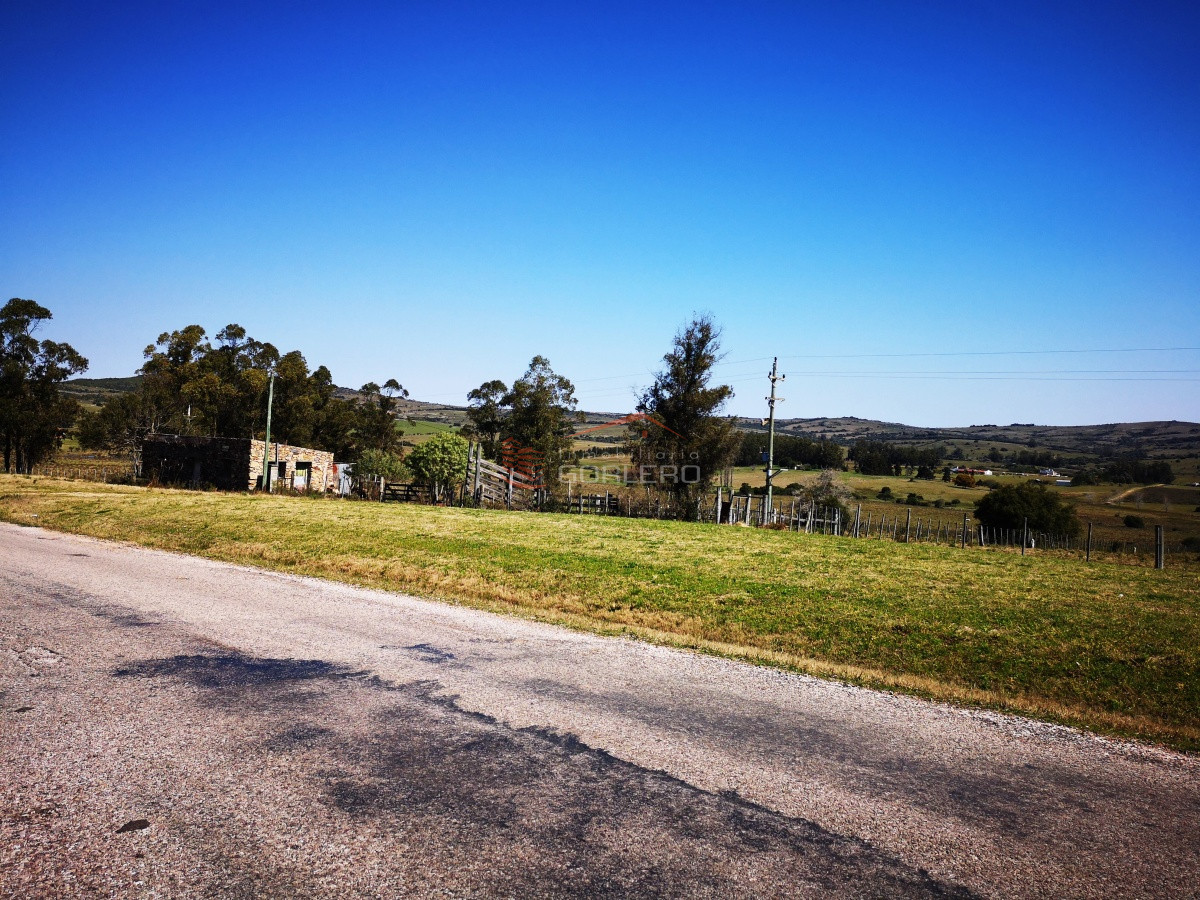 Zona Rural - GoPunta - Portal Inmobiliario de Punta del Este - Maldonado