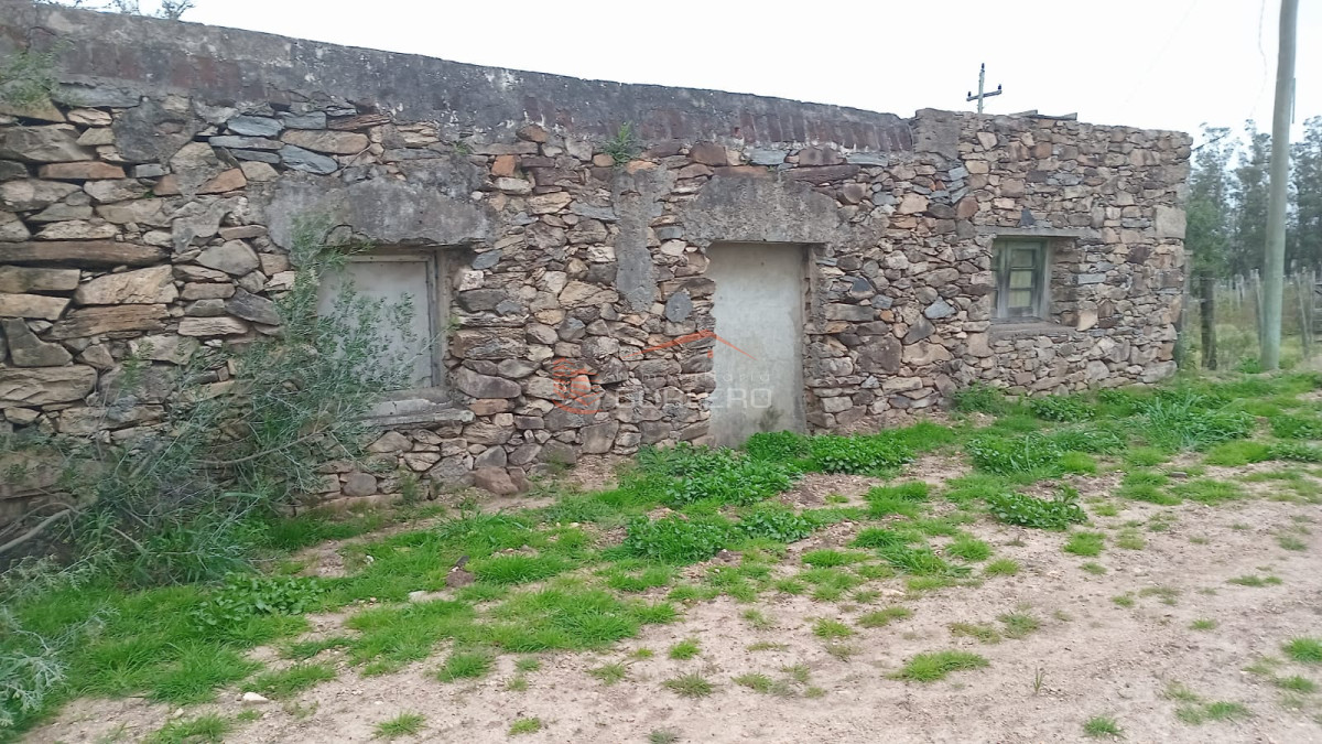 Zona Rural - GoPunta - Portal Inmobiliario de Punta del Este - Maldonado