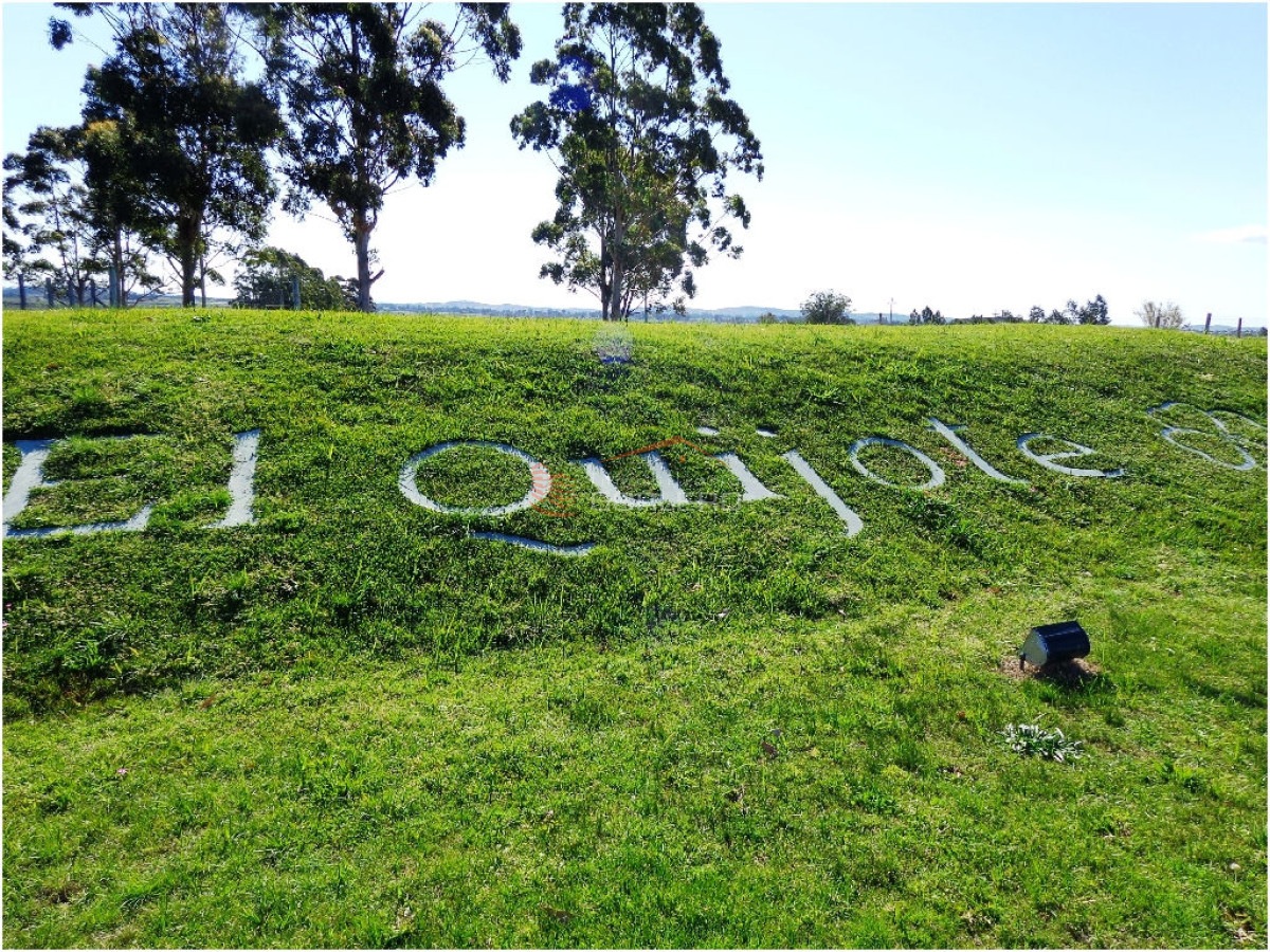 El Quijote - GoPunta - Portal Inmobiliario de Punta del Este - Maldonado