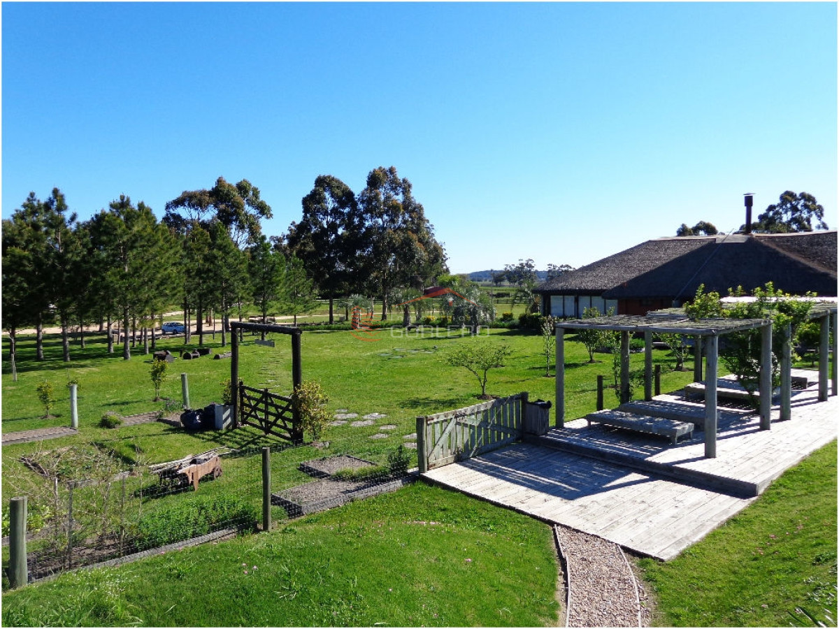 El Quijote - GoPunta - Portal Inmobiliario de Punta del Este - Maldonado