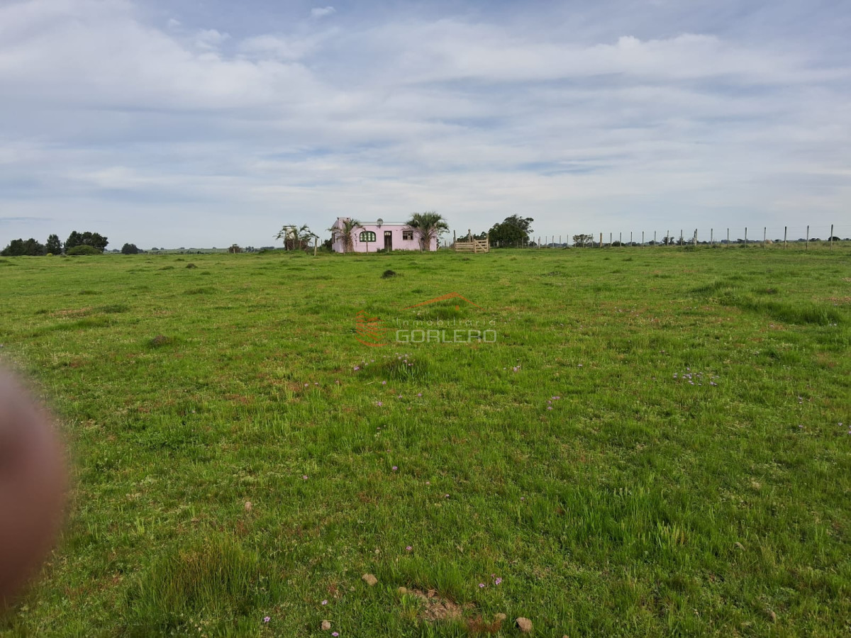 Chacra en venta , 3 hás - GoPunta - Portal Inmobiliario de Punta del Este - Maldonado