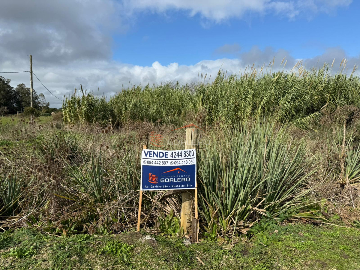 Ciudad de Rocha - GoPunta - Portal Inmobiliario de Punta del Este - Maldonado