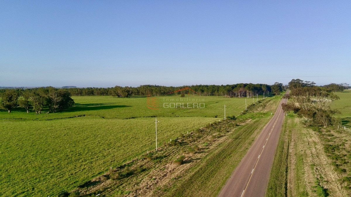La Pedrera - GoPunta - Portal Inmobiliario de Punta del Este - Maldonado